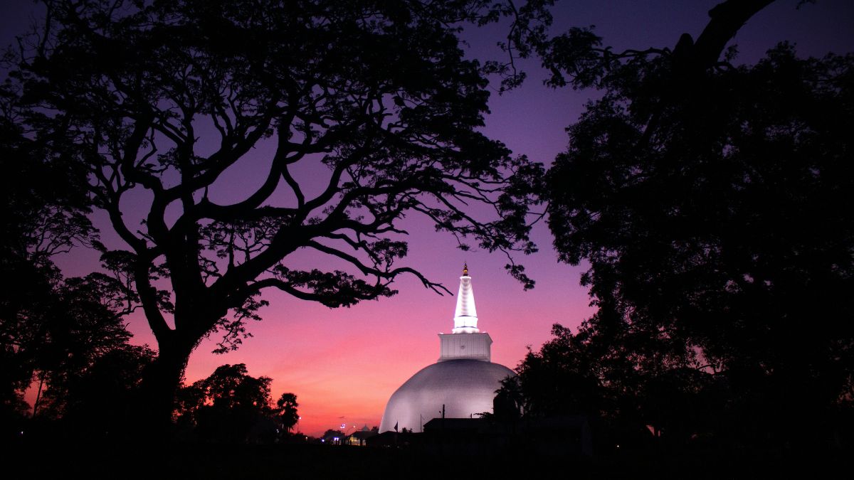 Classic Sri Lanka Highlights & Golden Circuit (7 Days / 6 Nights)
