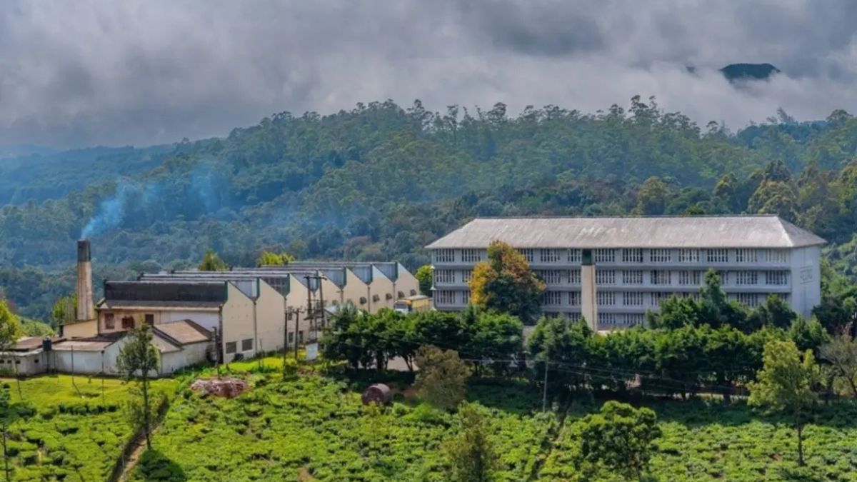 Scenic Tea Country, Ella & Highlands Train Tour (5 Days / 4 Nights)